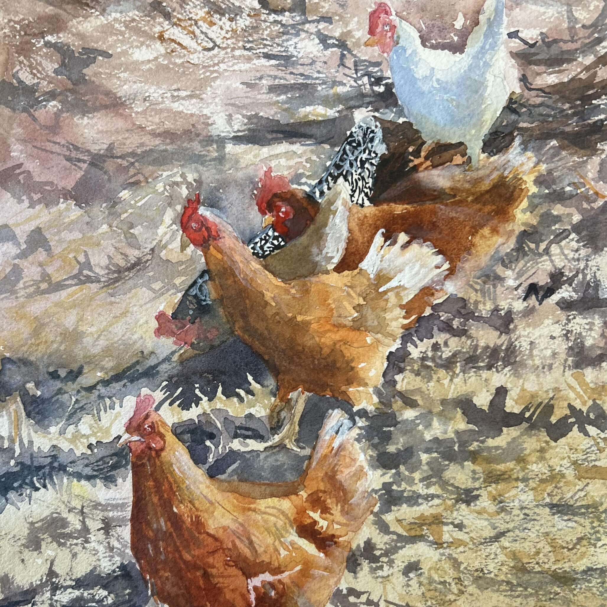 Mondochs Chickens  Pat Spence  $100